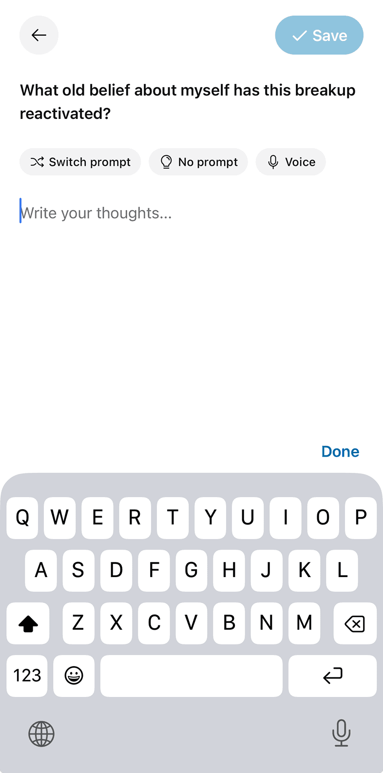 Secure journal editor preview